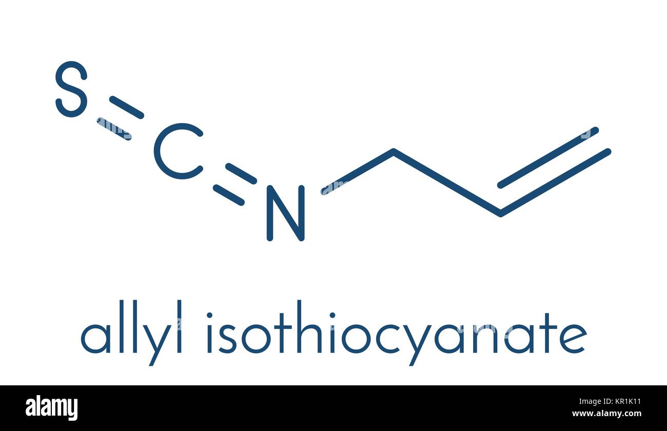 L'allyle isothiocyanate mustard l'âcreté molécule. Responsable de goût piquant de la moutarde, le wasabi et le radis. Formule topologique. Illustration de Vecteur