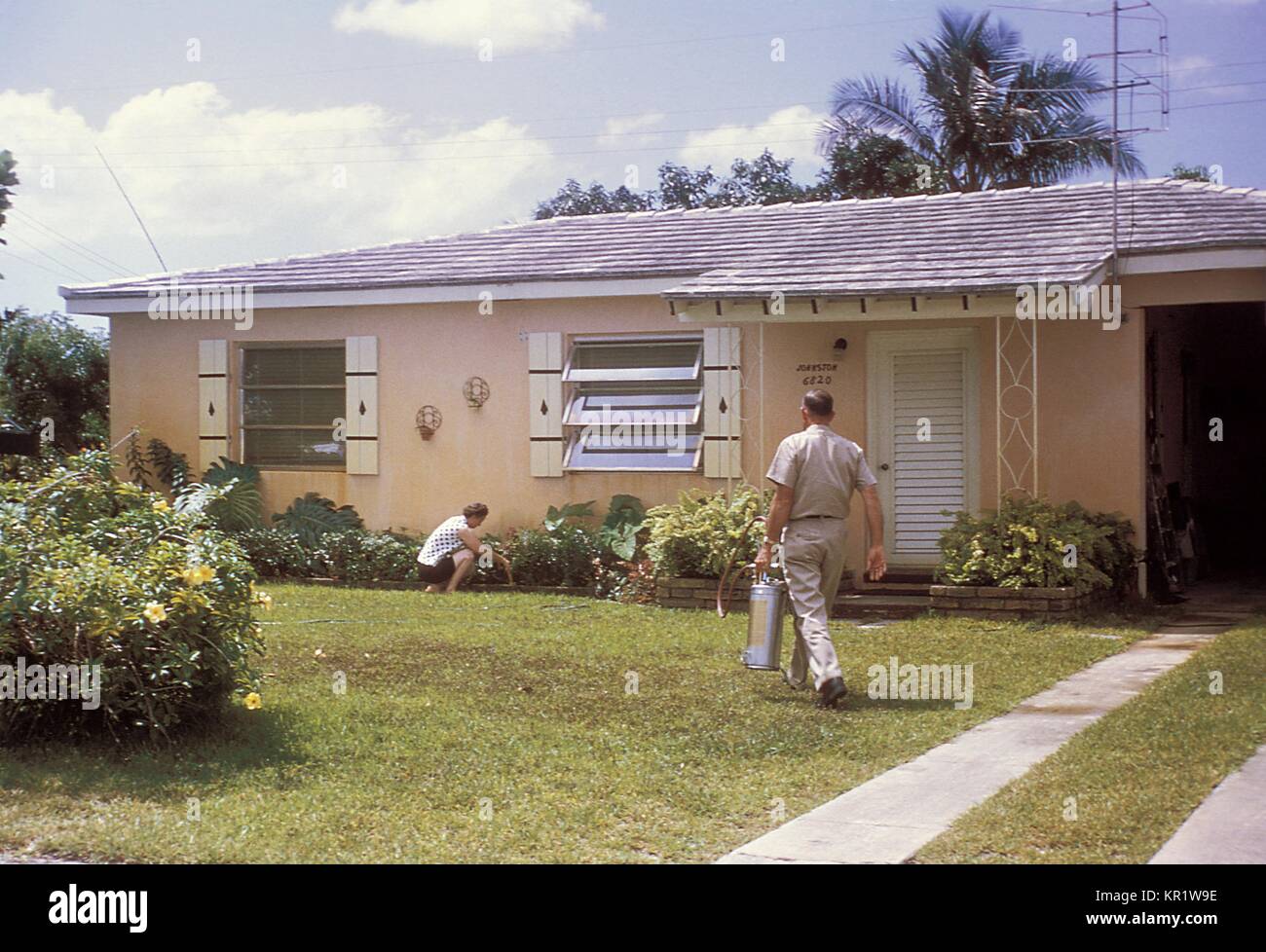 Cette photographie a été prise durant le programme d'éradication de l'Aedes aegypti 1965 à Miami, Floride, 1965. Dans les années 1960, un effort important a été fait pour éliminer le moustique vecteur urbain principal de la dengue et de la fièvre jaune, virus, A. aegypti, du sud-est des États-Unis, comme la pulvérisation pour les moustiques à l'aide d'un pulvérisateur à air comprimé. Image courtoisie CDC. Banque D'Images Cette photographie a été prise durant le programme d'éradication de l'Aedes aegypti 1965 à Miami, Floride, 1965. Dans les années 1960, un effort important a été fait pour éliminer le moustique vecteur urbain principal de la dengue et de la fièvre jaune, virus, A. aegypti, du sud-est des États-Unis, comme la pulvérisation pour les moustiques à l'aide d'un pulvérisateur à air comprimé. Image courtoisie CDC. Banque D'Images