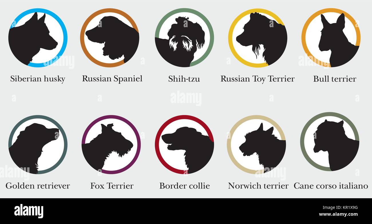 Vector set de ronds avec des portraits silhouettes de chiens de races. Image colorée Illustration de Vecteur