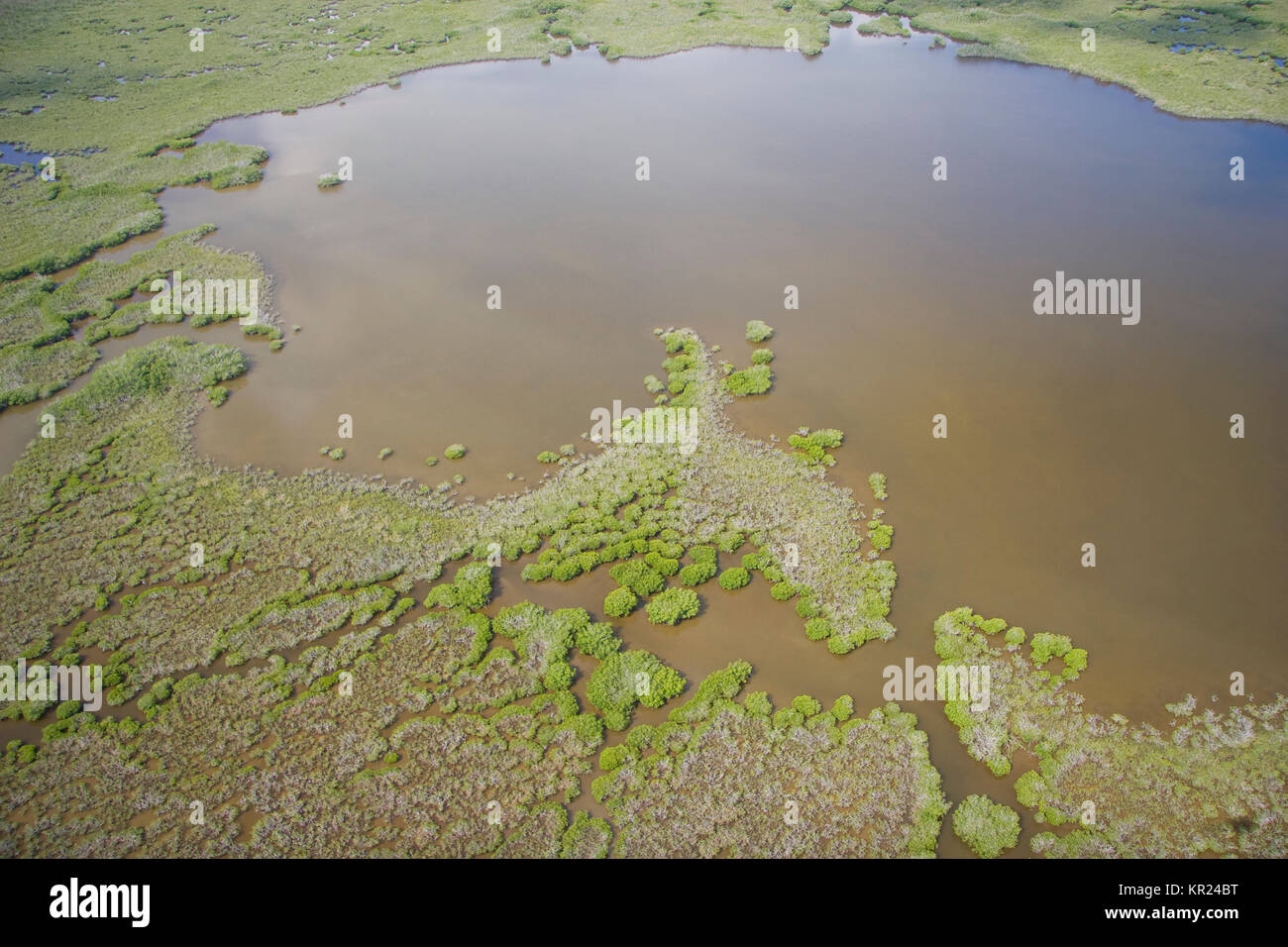 Vue aérienne de Parc National des Everglades, en Floride Banque D'Images