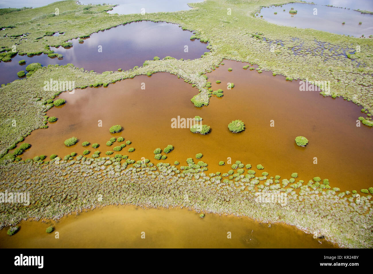 Vue aérienne de Parc National des Everglades, en Floride Banque D'Images