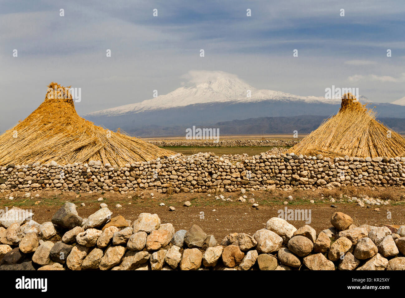 Roseaux empilées et Le Mont Ararat en Turquie orientale. Banque D'Images