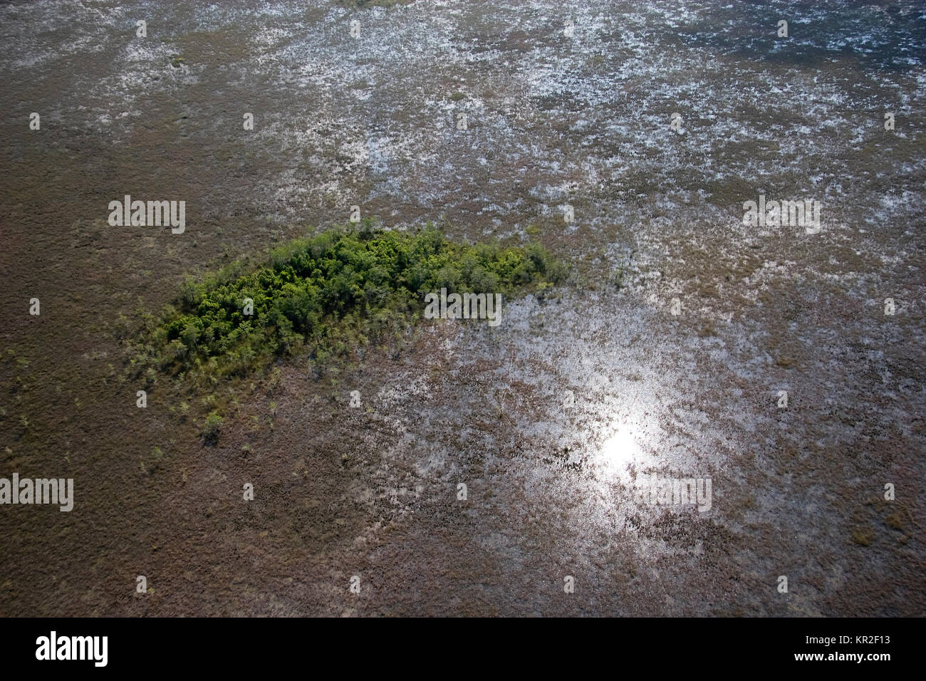 Vue aérienne de Parc National des Everglades, en Floride Banque D'Images
