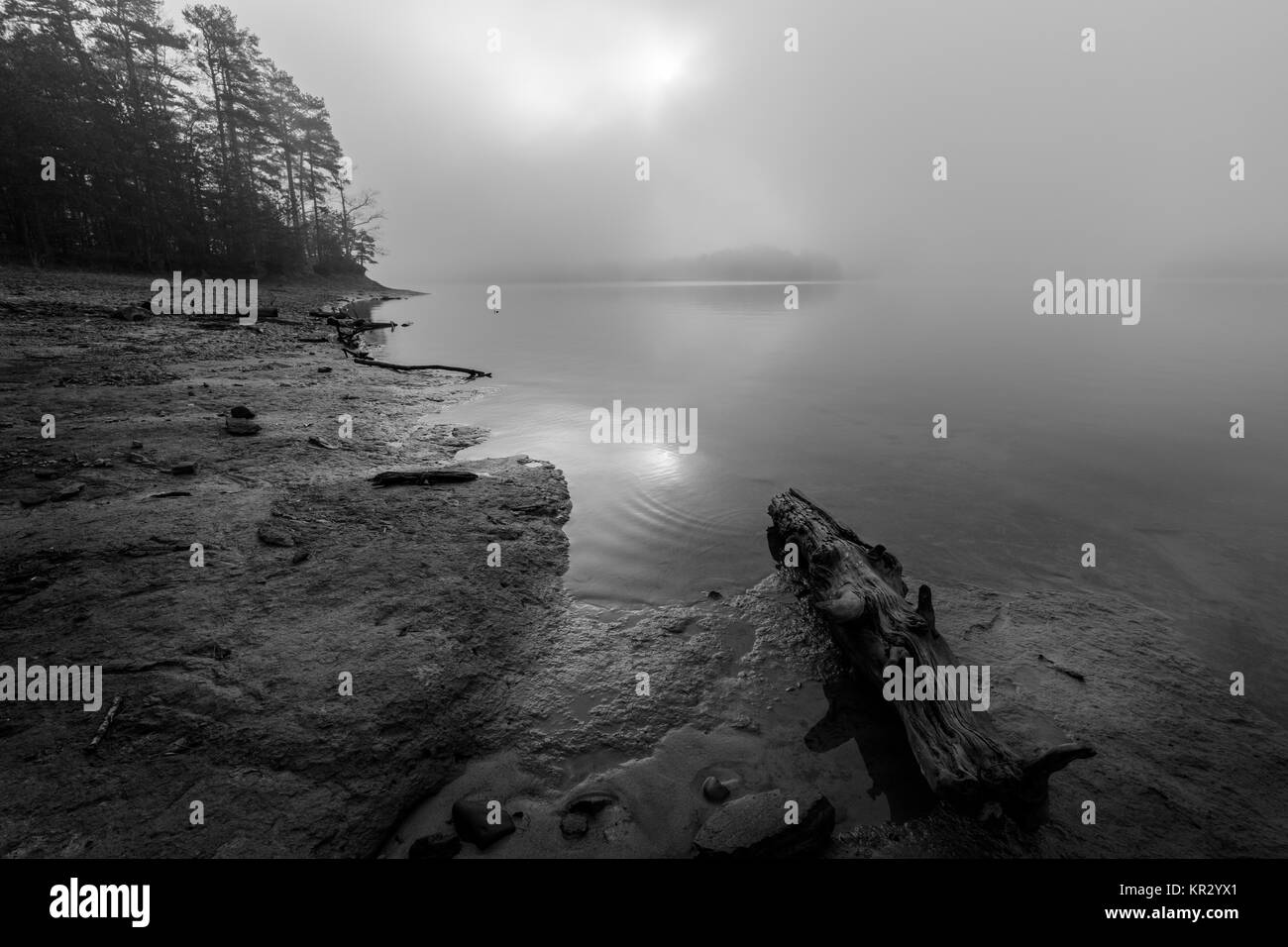 Bolding Mill Park est situé dans le comté de Hall, GA sur l'extrémité nord du lac Lanier. Il a beaucoup d'installations dont un sur la plage, camping, pêche, rampe de mise à l'eau, des toilettes, ainsi que des sentiers de randonnée. C'est un peu hors des sentiers battus et j'estime que c'est un joyau caché. Lac Sidney Lanier a été créé en 1956 et est formée principalement par les eaux de la Chattahoochee et Chestatee Rivières. Le lac couvre 38.000 hectares et possède plus de 690 kilomètres de rivage. Le lac est nommé d'après le poète Sidney Lanier. Banque D'Images