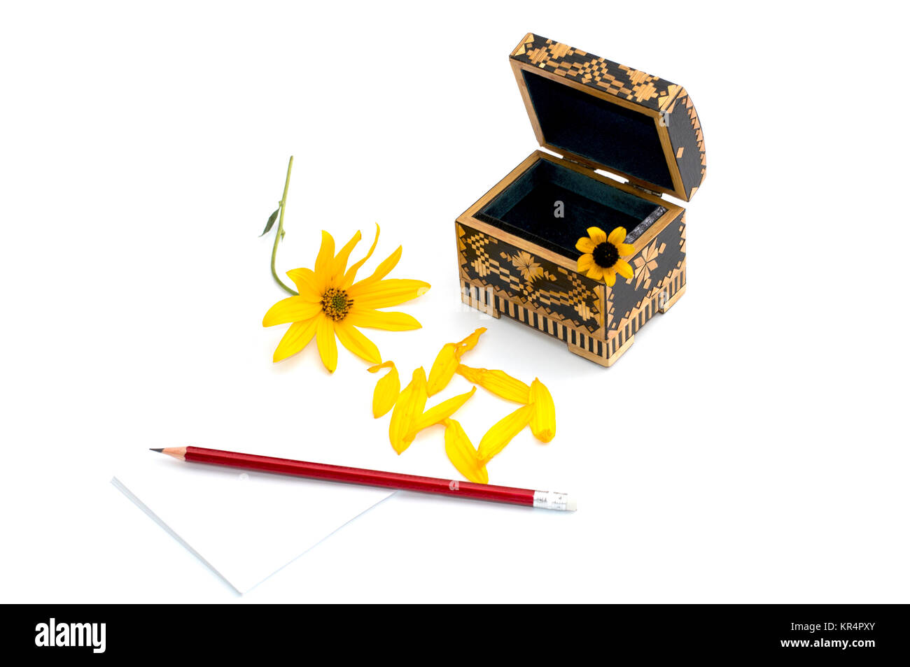 La vie toujours un cercueil, un crayon à papier et une fleur jaune Banque D'Images