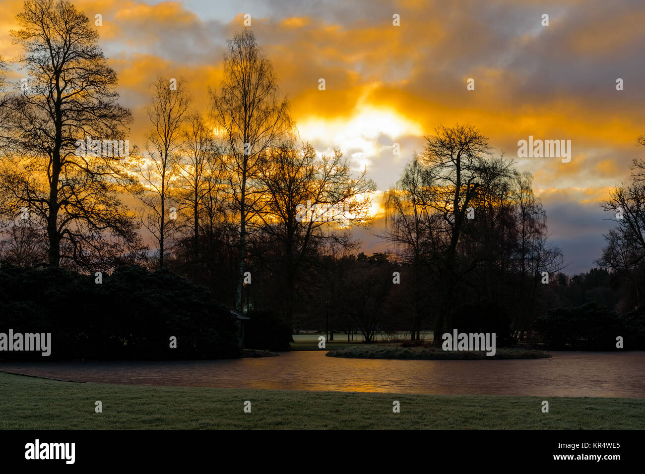 Lever de soleil sur l'étang gelé Orange et arbres en parc public. Location Ronneby dans Blekinge, Suède. Banque D'Images