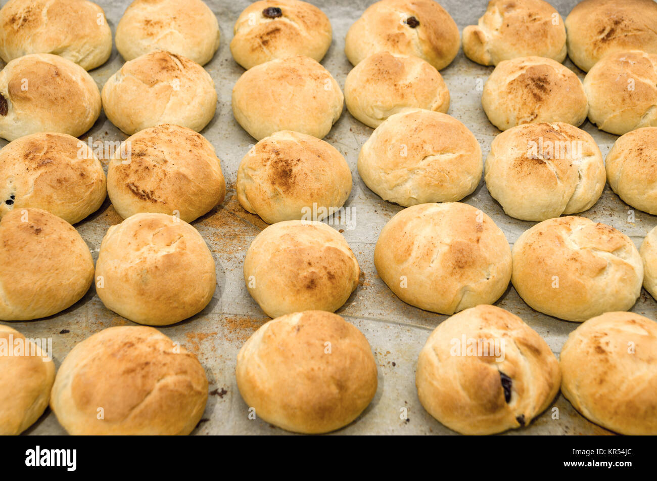 Plaque de cuisson, recouverte par du papier sulfurisé, pleine de levure douce à la cannelle, petits pains aux raisins et aux canneberges, juste du four. Banque D'Images
