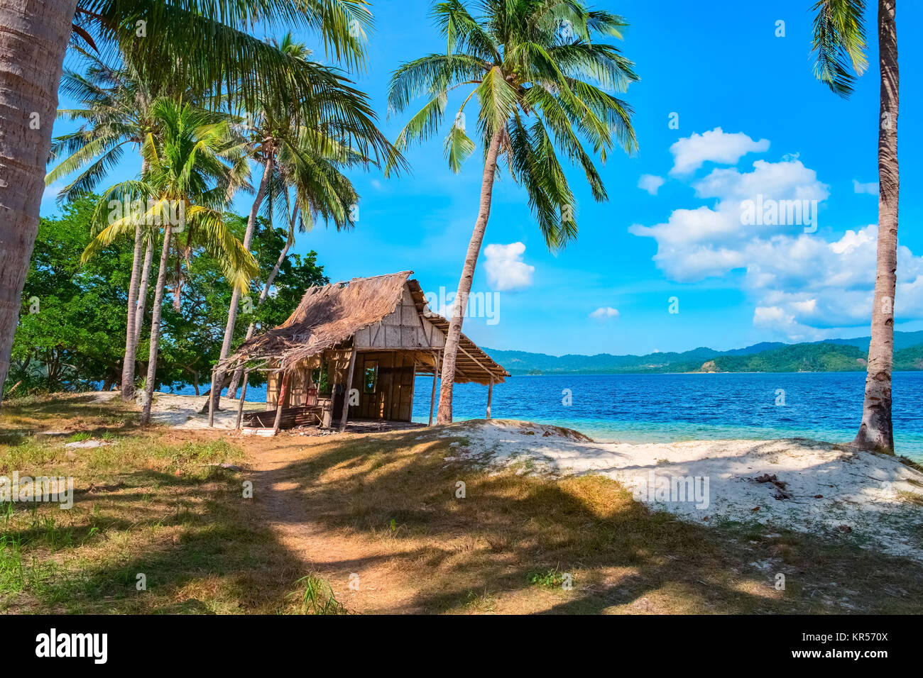 Paysage de l'île tropicale Banque D'Images
