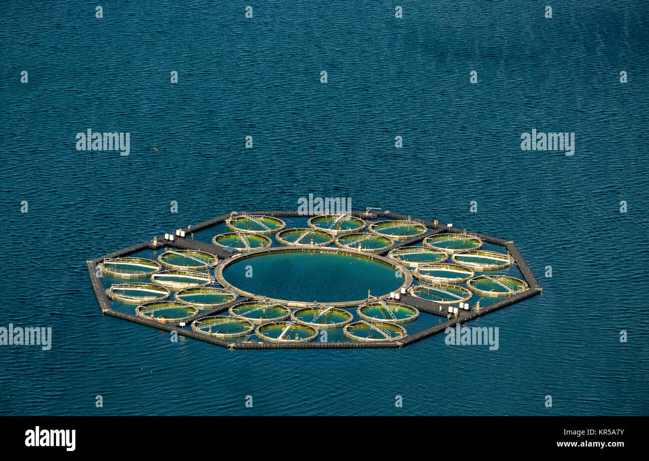 Pisciculture Stechlin-grand corégone, pots de poissons, le grand Stechlin, région du lac, Rheinsberge avec de grandes Stechlinsee, Stechlin, Mecklenburg Lake District, moi Banque D'Images