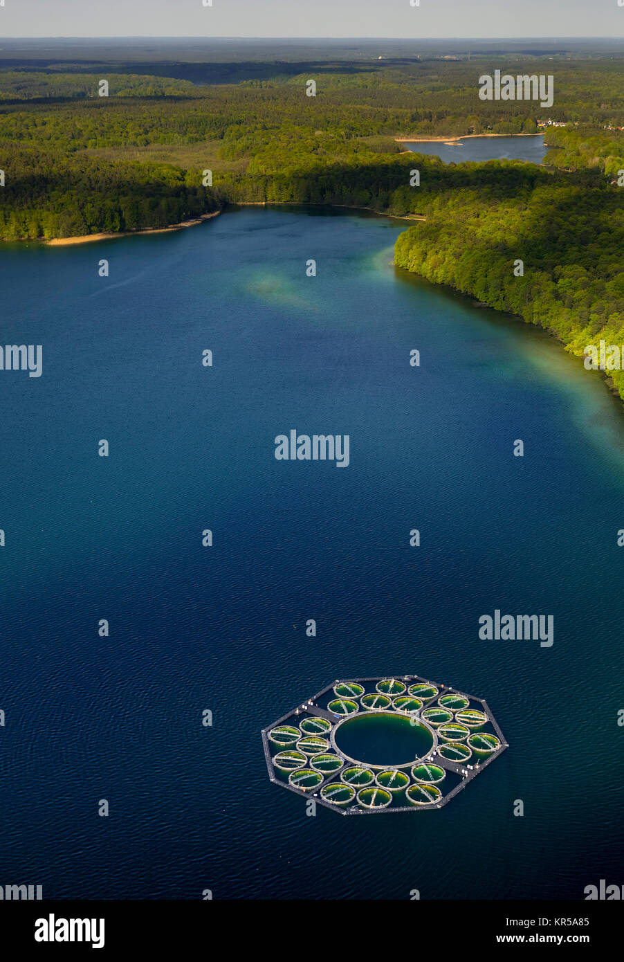 Pisciculture Stechlin-grand corégone, pots de poissons, le grand Stechlin, région du lac, Rheinsberge avec de grandes Stechlinsee, Stechlin, Mecklenburg Lake District, moi Banque D'Images