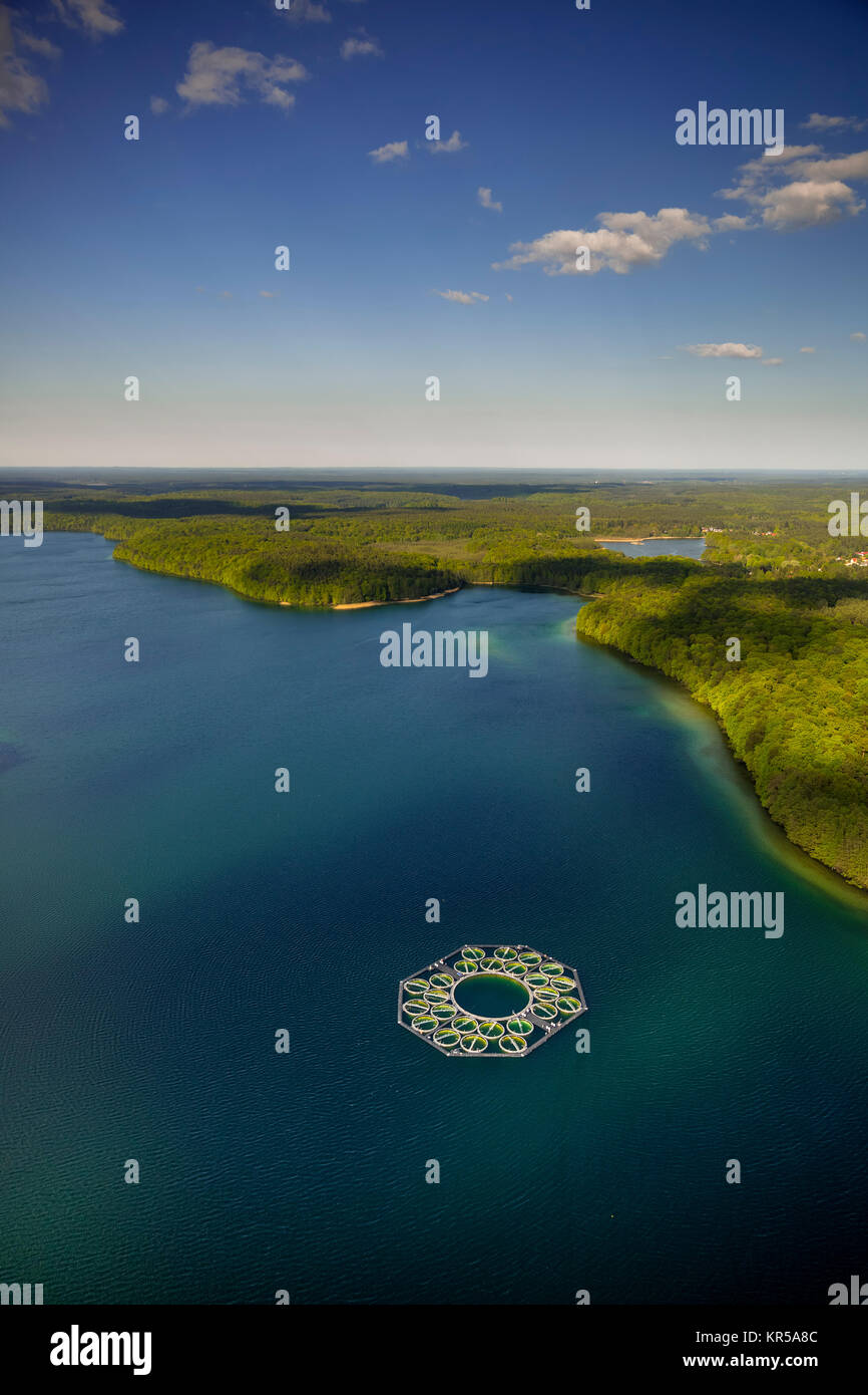 Pisciculture Stechlin-grand corégone, pots de poissons, le grand Stechlin, région du lac, Rheinsberge avec de grandes Stechlinsee, Stechlin, Mecklenburg Lake District, moi Banque D'Images