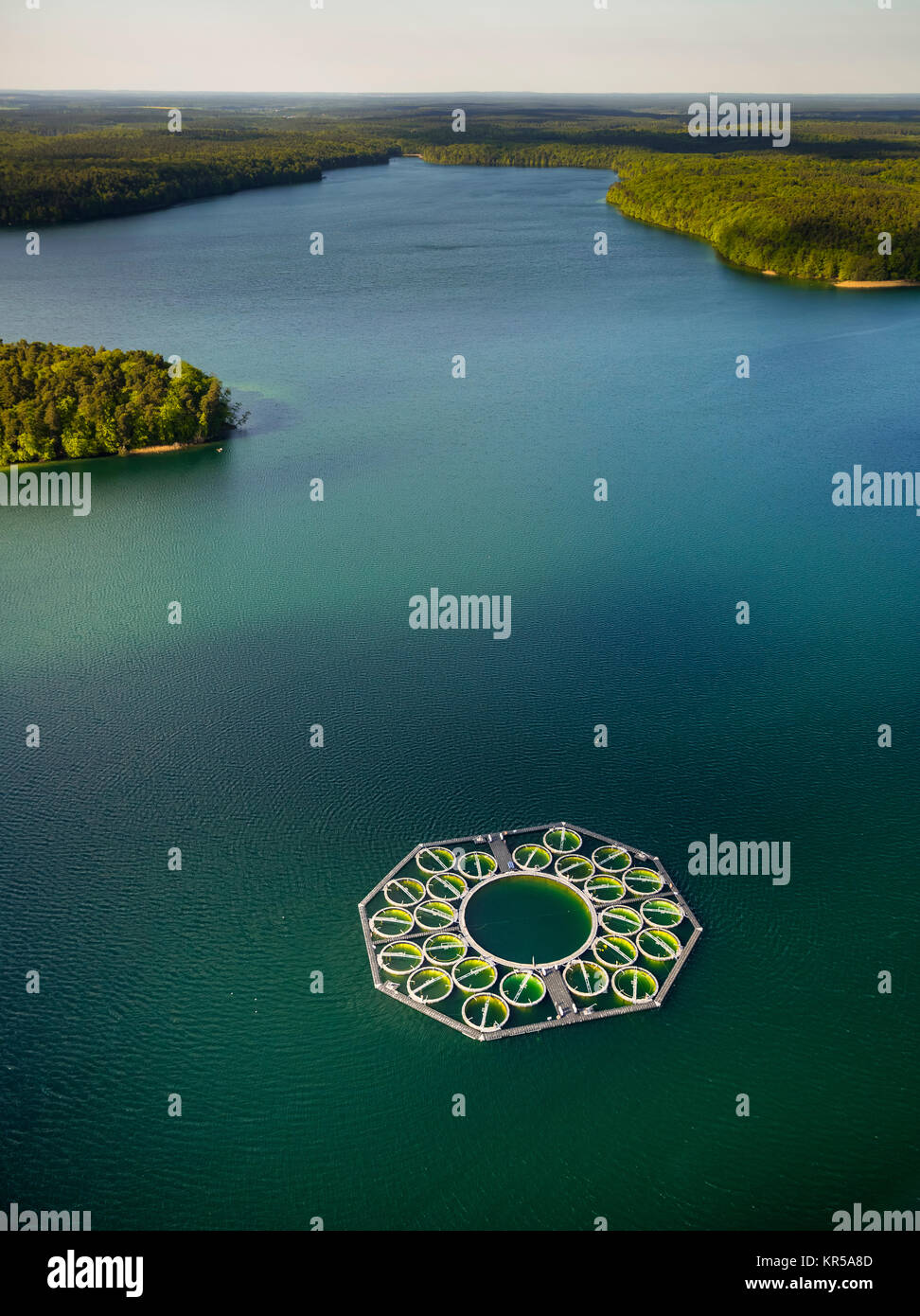 Pisciculture Stechlin-grand corégone, pots de poissons, le grand Stechlin, région du lac, Rheinsberge avec de grandes Stechlinsee, Stechlin, Mecklenburg Lake District, moi Banque D'Images