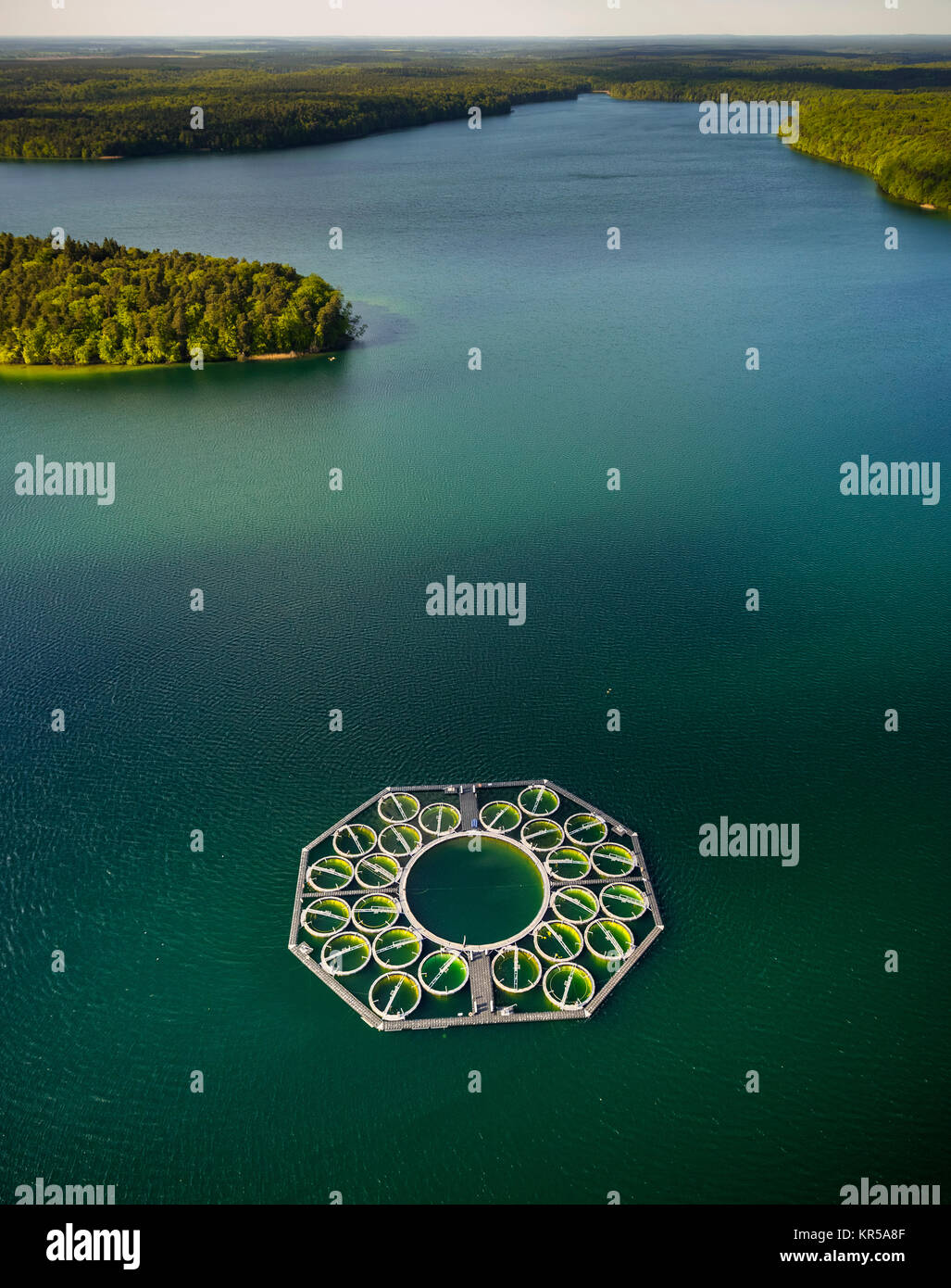 Pisciculture Stechlin-grand corégone, pots de poissons, le grand Stechlin, région du lac, Rheinsberge avec de grandes Stechlinsee, Stechlin, Mecklenburg Lake District, moi Banque D'Images