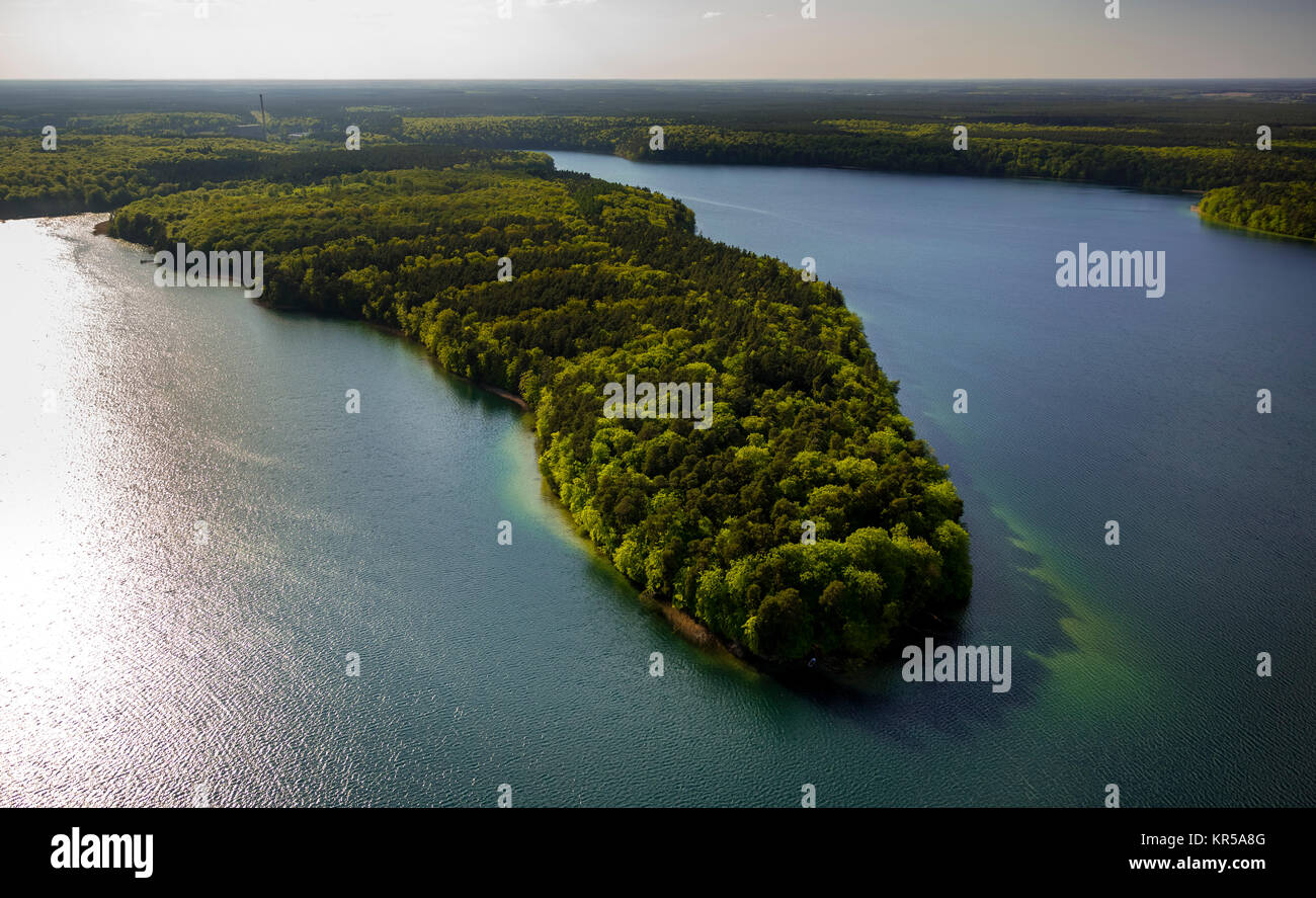 ,Pointe presqu'île, le Grand Stechlin, région du lac de montagne du Rhin avec beaucoup d'Stechlinsee, Stechlin, Mecklenburg Lake District, les lacs de Mecklenburg, Bran Banque D'Images