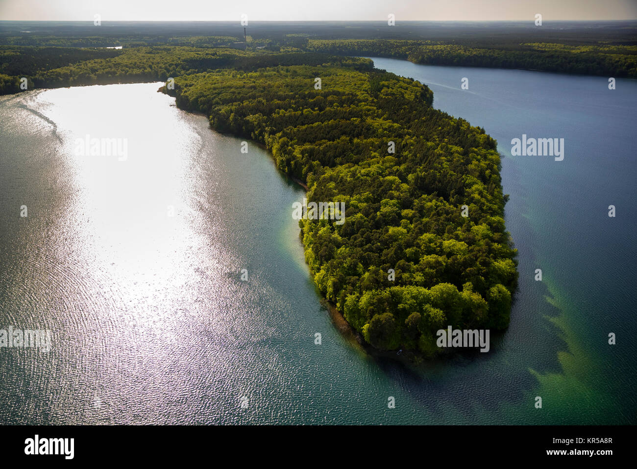 ,Pointe presqu'île, le Grand Stechlin, région du lac de montagne du Rhin avec beaucoup d'Stechlinsee, Stechlin, Mecklenburg Lake District, les lacs de Mecklenburg, Bran Banque D'Images