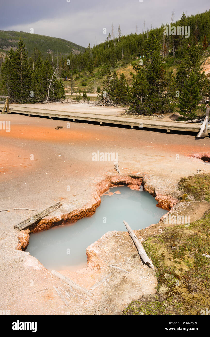 Les Pots de peinture de l'artiste le Parc National de Yellowstone au Wyoming USA Banque D'Images
