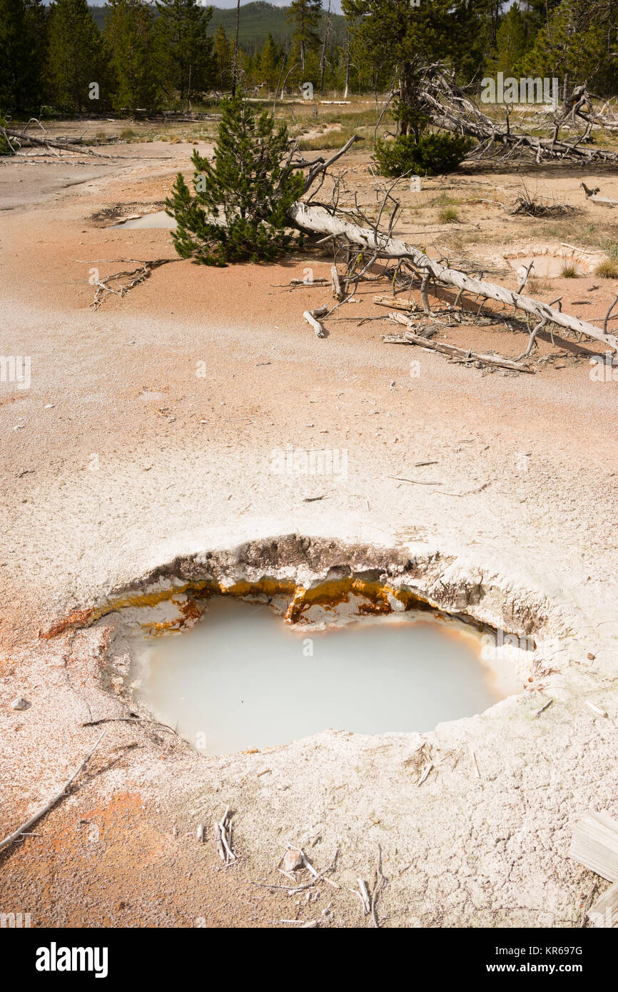 Les Pots de peinture de l'artiste le Parc National de Yellowstone au Wyoming USA Banque D'Images