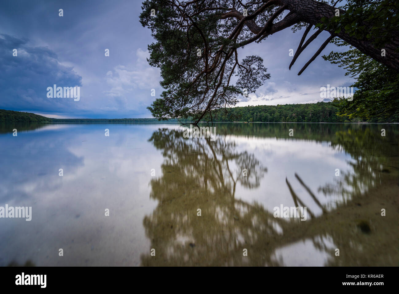 Reflet de beaux,nuages sombres dans un lac avec des arbres tombés sur la rive Banque D'Images