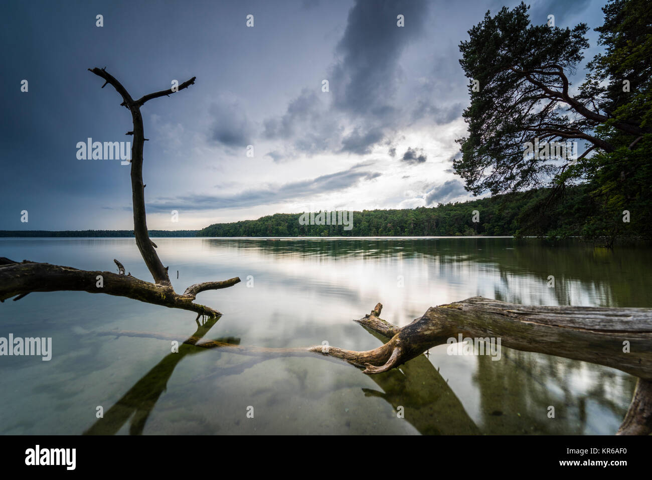 Reflet de beaux,nuages sombres dans un lac avec des arbres tombés sur la rive Banque D'Images