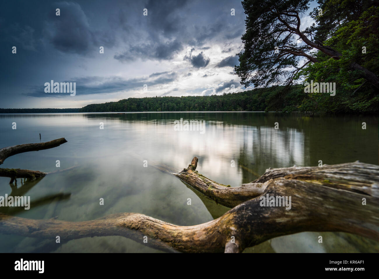 Reflet de beaux,nuages sombres dans un lac avec des arbres tombés sur la rive Banque D'Images