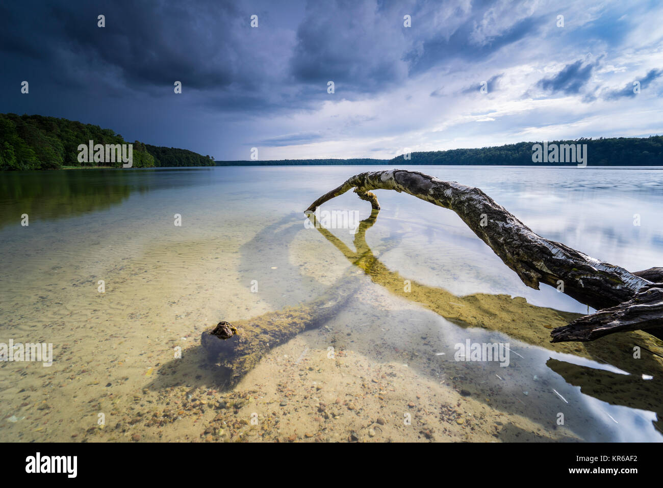 Reflet de beaux,nuages sombres dans un lac avec des arbres tombés sur la rive Banque D'Images