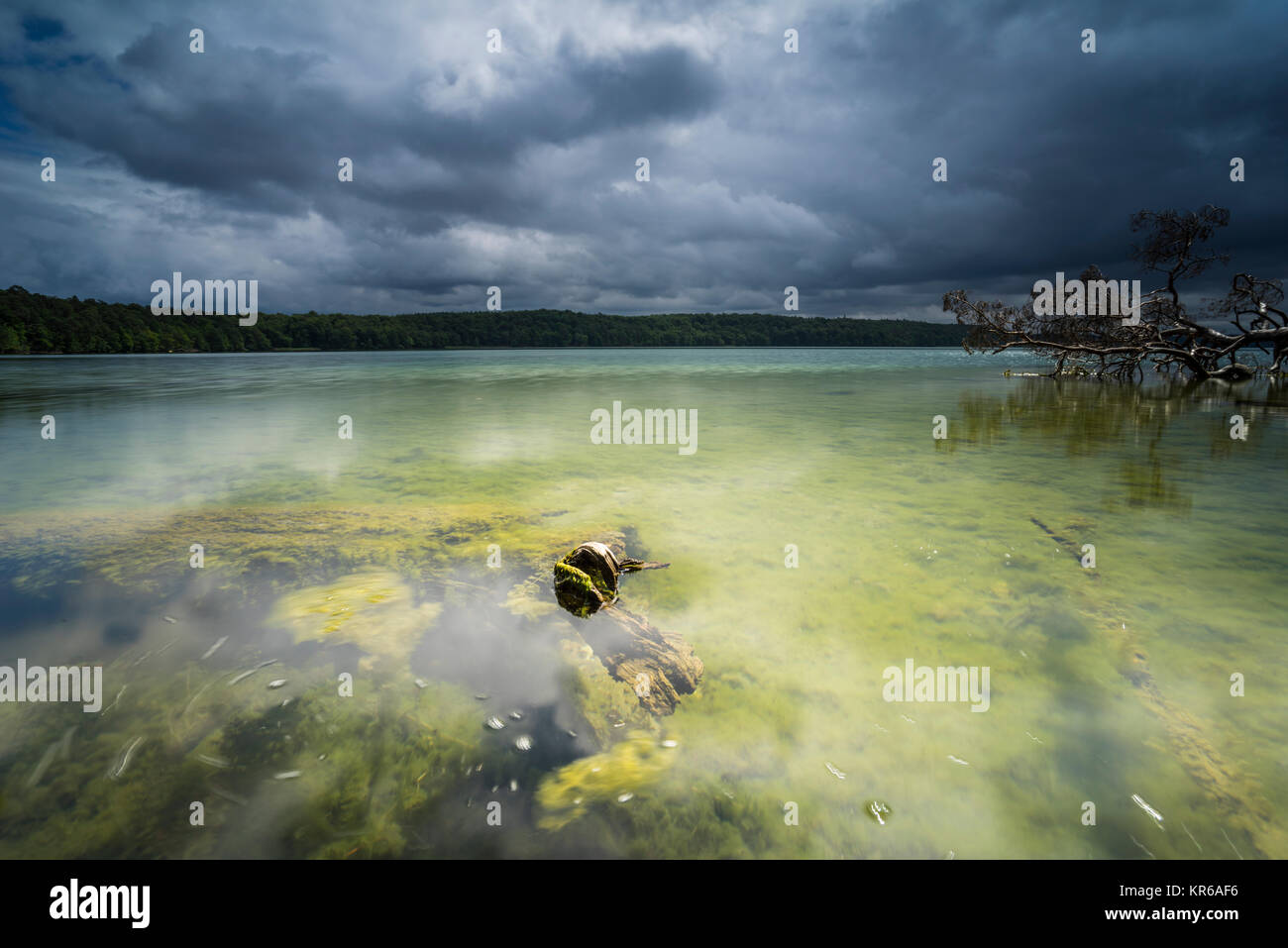 Reflet de beaux,nuages sombres dans un lac avec des arbres tombés sur la rive Banque D'Images