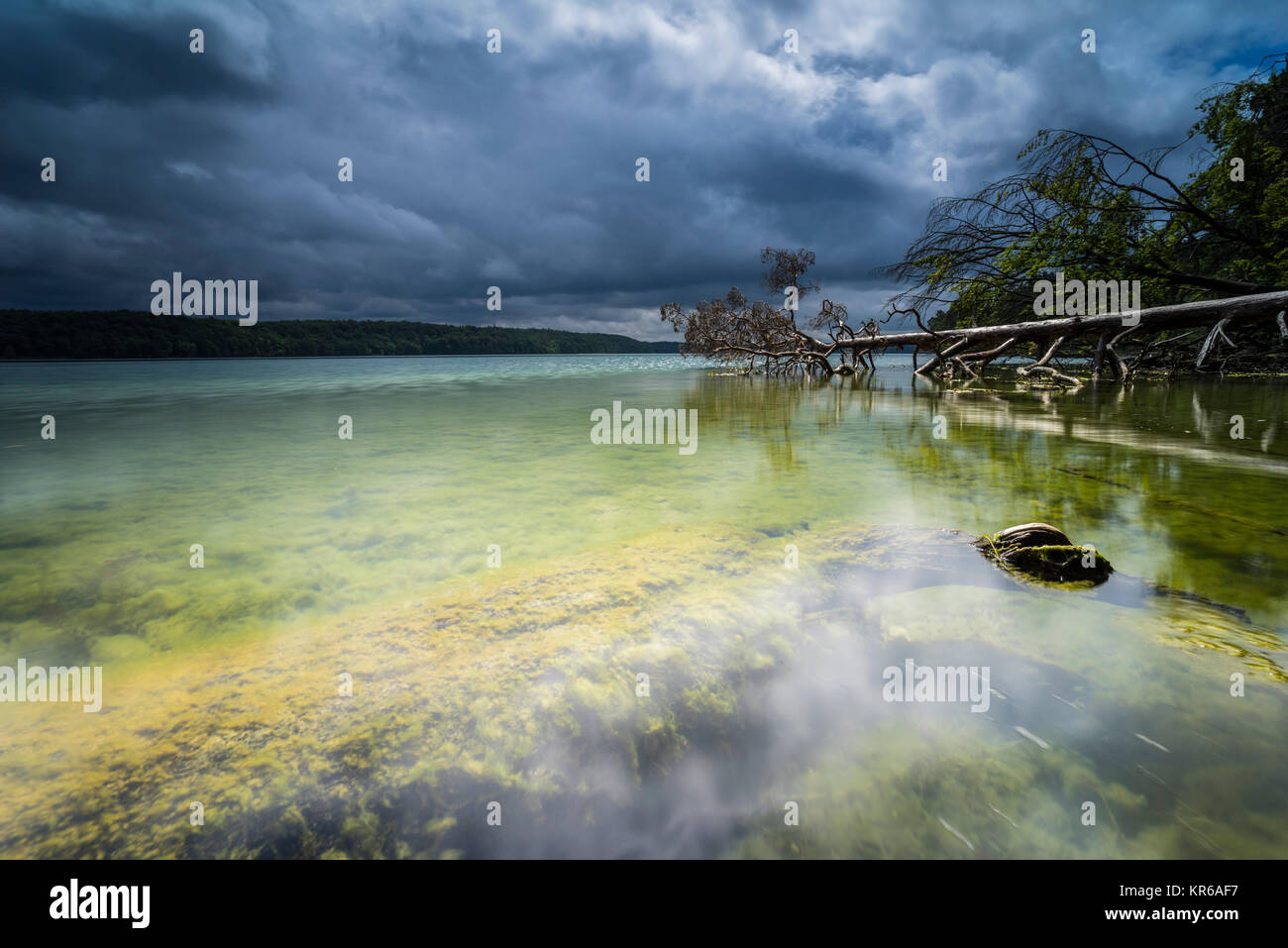 Reflet de beaux,nuages sombres dans un lac avec des arbres tombés sur la rive Banque D'Images