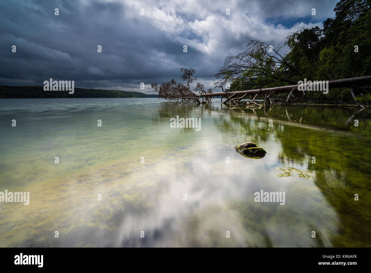 Reflet de beaux,nuages sombres dans un lac avec des arbres tombés sur la rive Banque D'Images