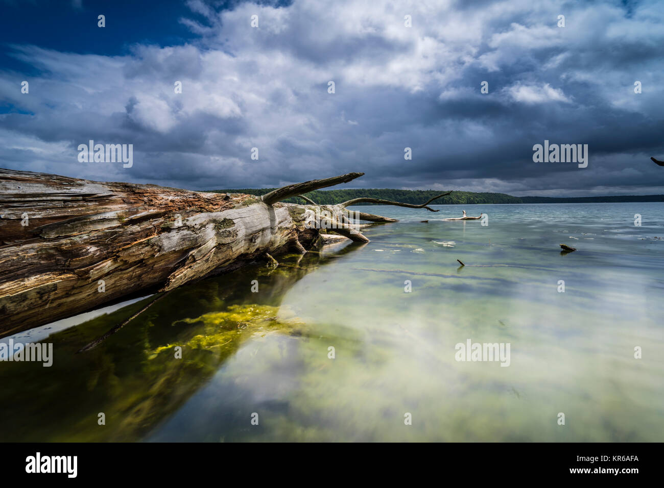 Reflet de beaux,nuages sombres dans un lac avec des arbres tombés sur la rive Banque D'Images