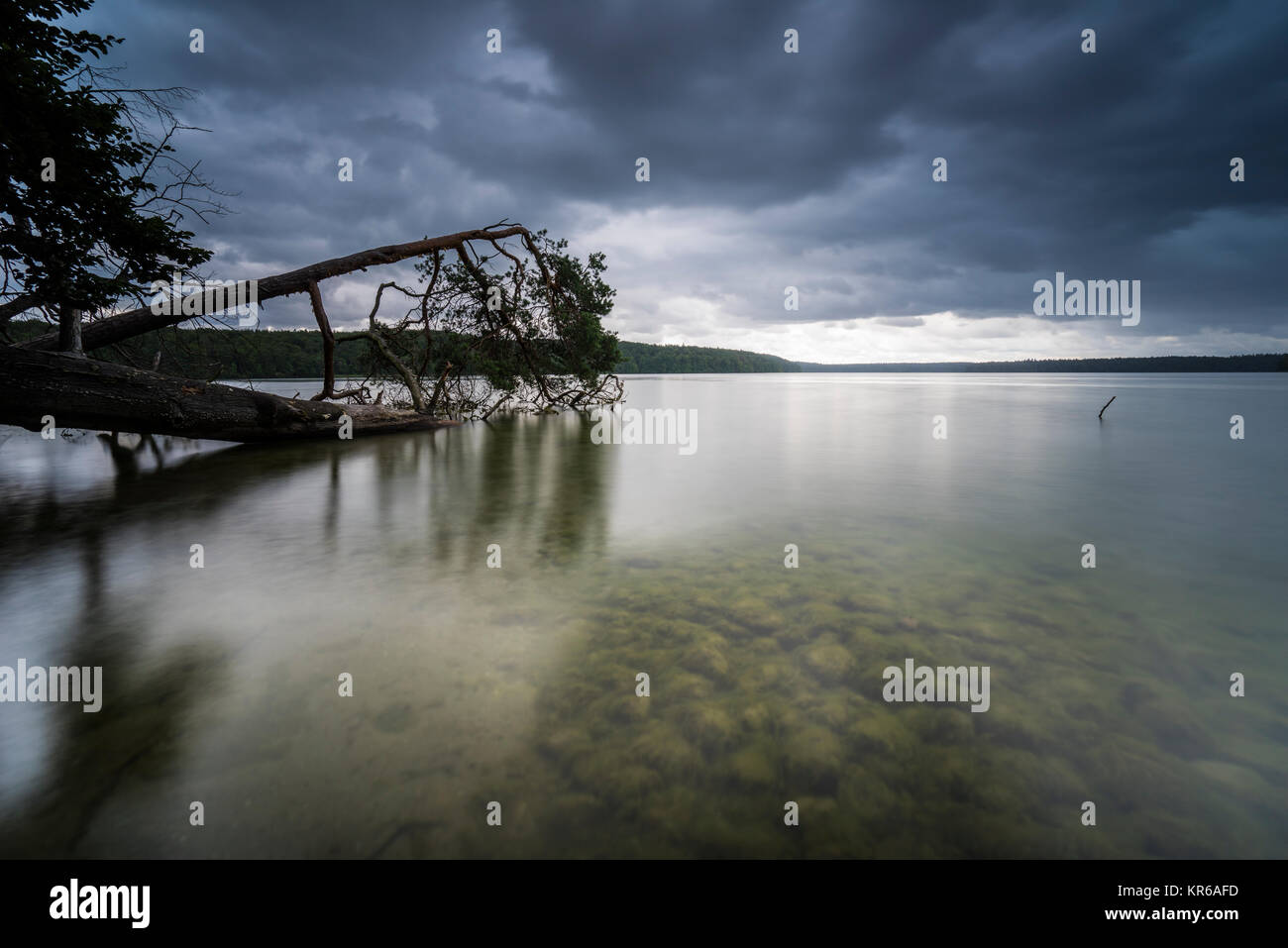 Reflet de beaux,nuages sombres dans un lac avec des arbres tombés sur la rive Banque D'Images