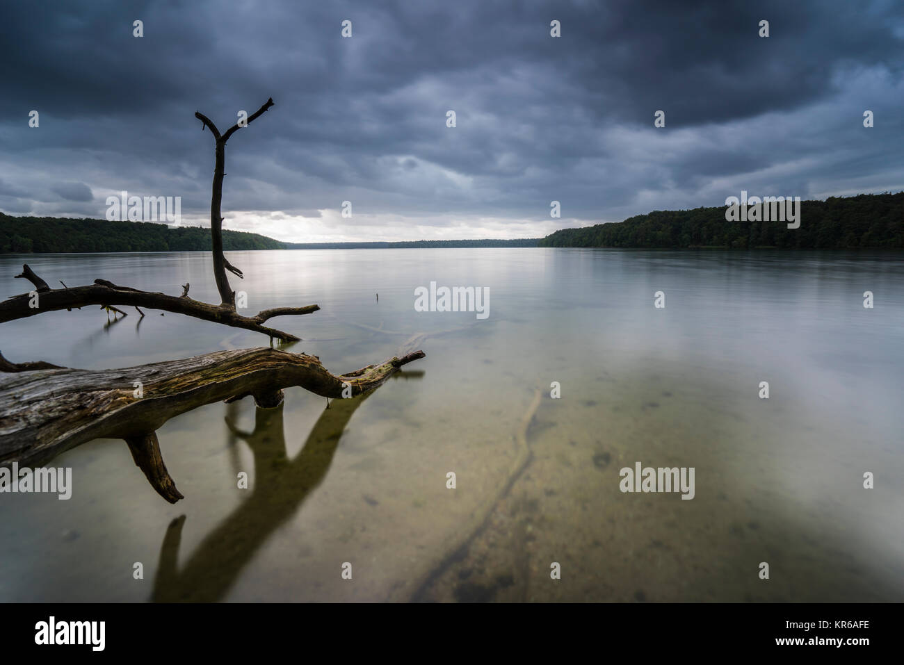 Reflet de beaux,nuages sombres dans un lac avec des arbres tombés sur la rive Banque D'Images