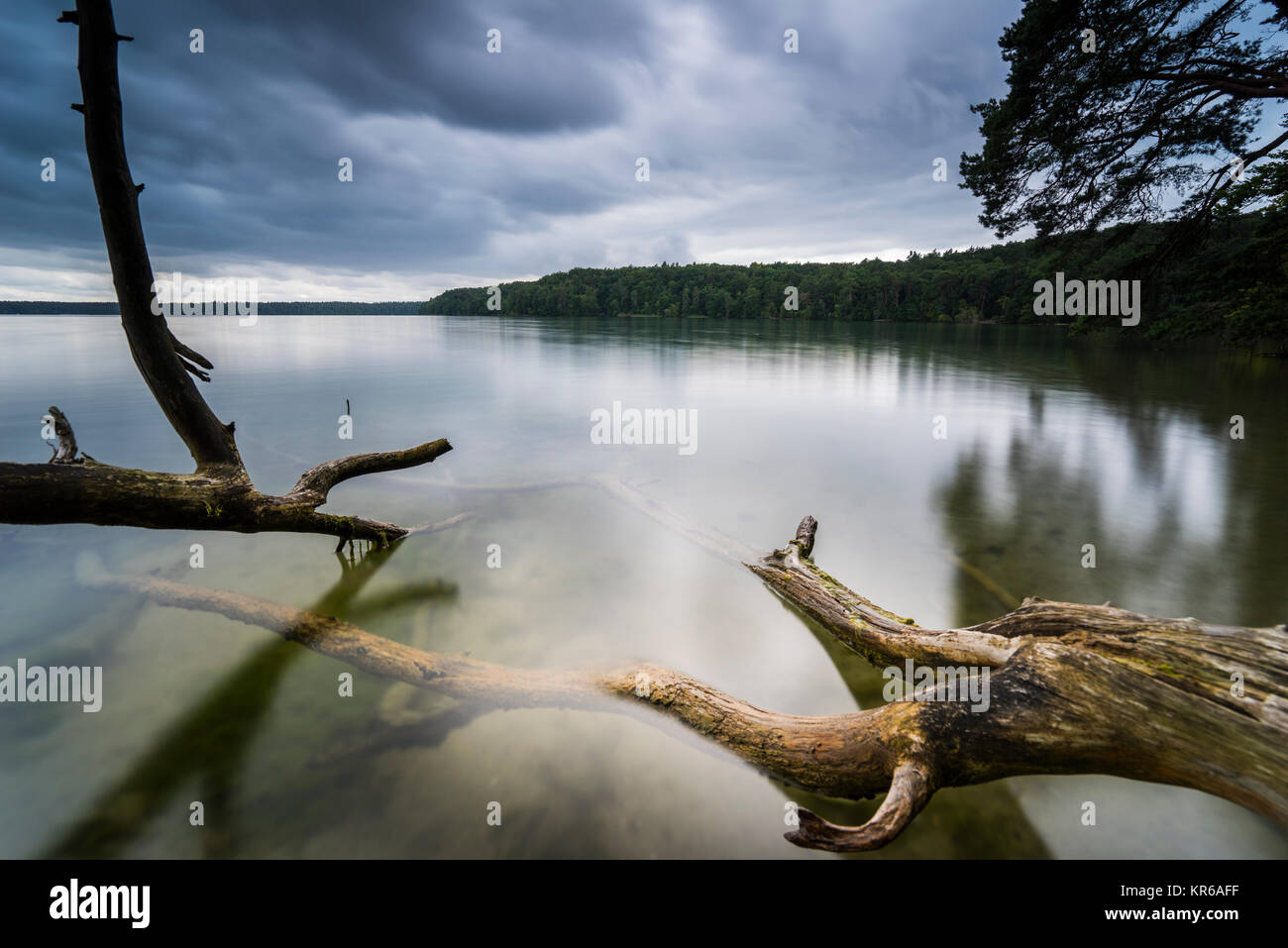 Reflet de beaux,nuages sombres dans un lac avec des arbres tombés sur la rive Banque D'Images