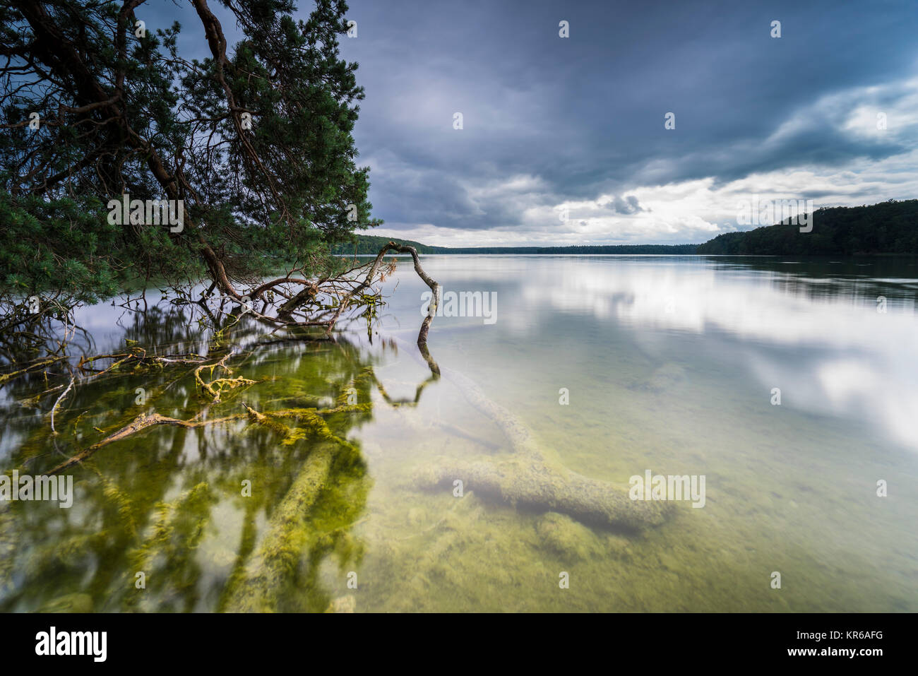 Reflet de beaux,nuages sombres dans un lac avec des arbres tombés sur la rive Banque D'Images