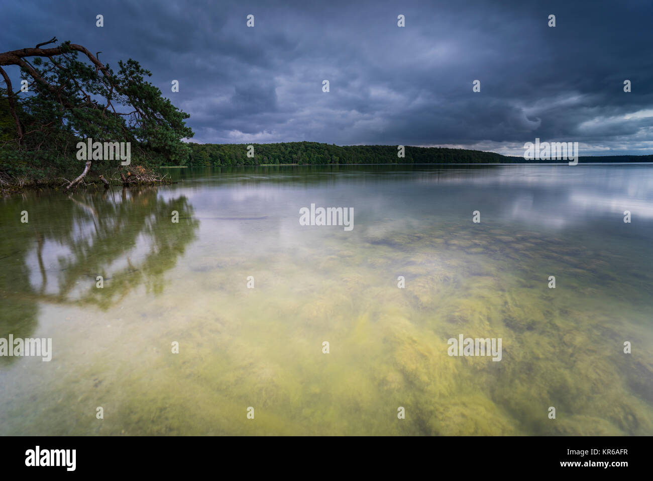 Reflet de beaux,nuages sombres dans un lac avec des arbres tombés sur la rive Banque D'Images