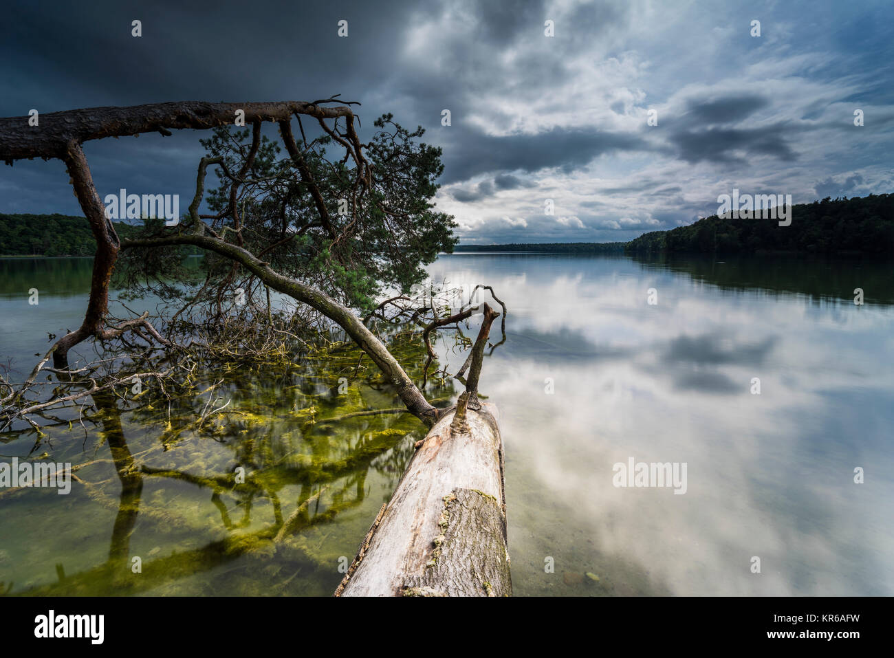 Reflet de beaux,nuages sombres dans un lac avec des arbres tombés sur la rive Banque D'Images
