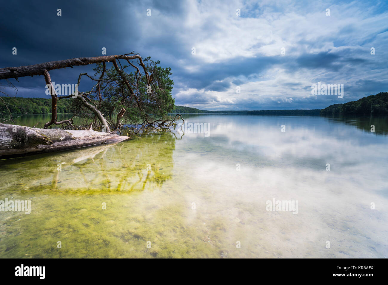 Reflet de beaux,nuages sombres dans un lac avec des arbres tombés sur la rive Banque D'Images