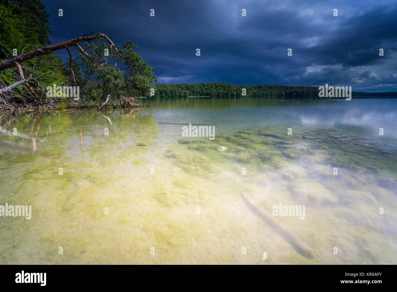 Reflet de beaux,nuages sombres dans un lac avec des arbres tombés sur la rive Banque D'Images