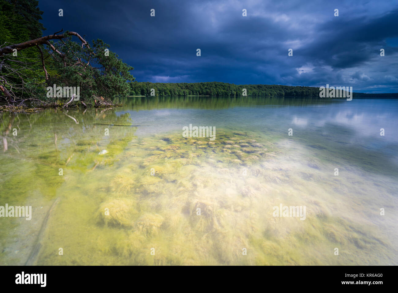 Reflet de beaux,nuages sombres dans un lac avec des arbres tombés sur la rive Banque D'Images