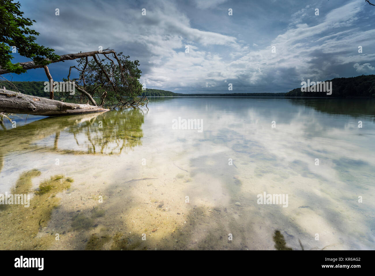 Reflet de beaux,nuages sombres dans un lac avec des arbres tombés sur la rive Banque D'Images