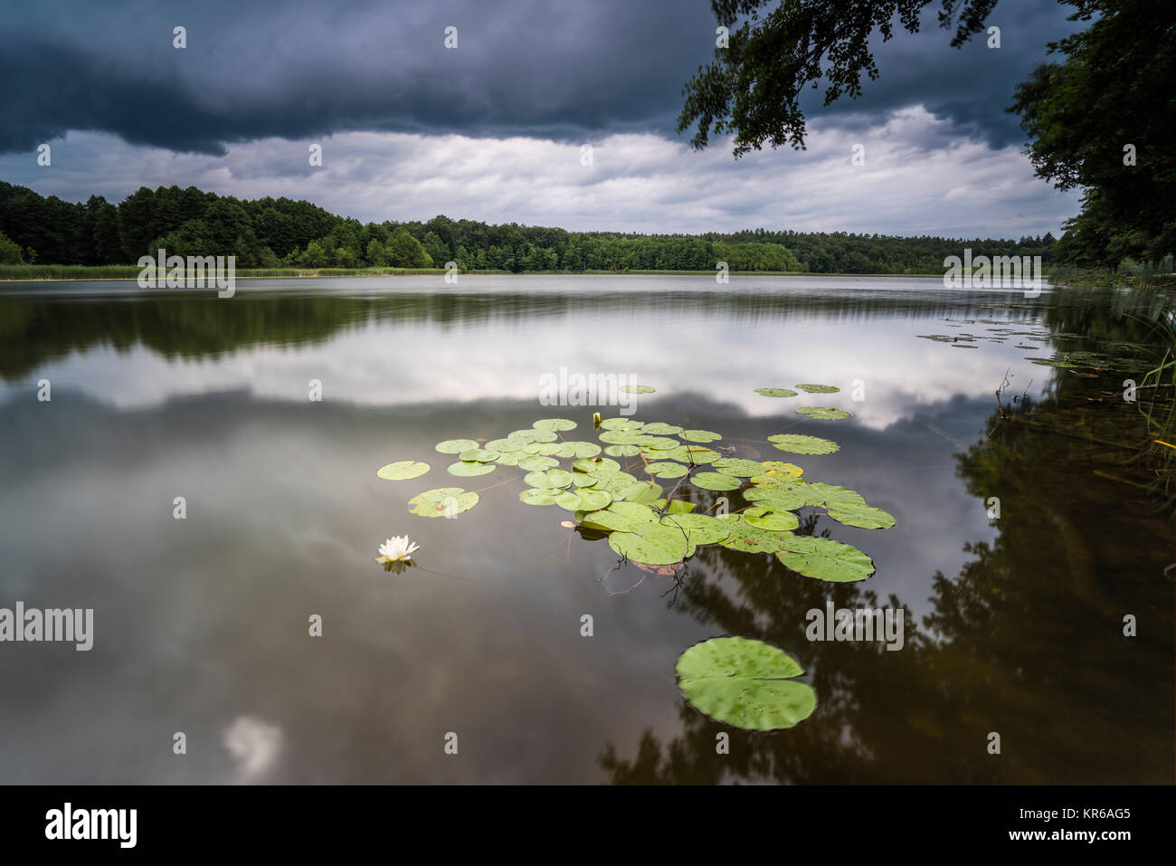 Reflet de beaux,nuages sombres dans un lac avec des arbres tombés sur la rive Banque D'Images