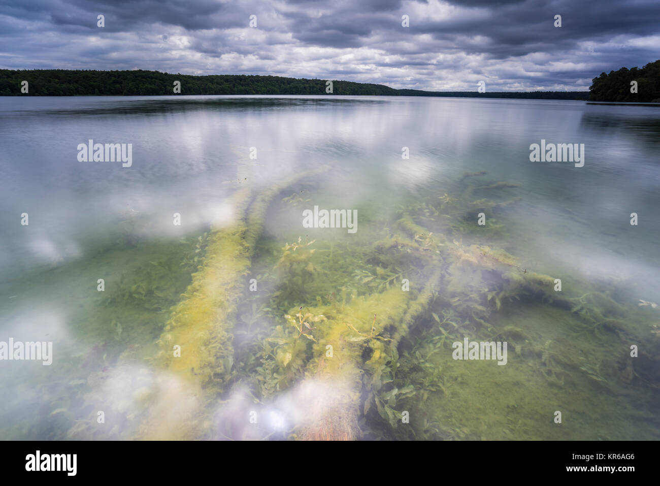 Reflet de beaux,nuages sombres dans un lac avec des arbres tombés sur la rive Banque D'Images