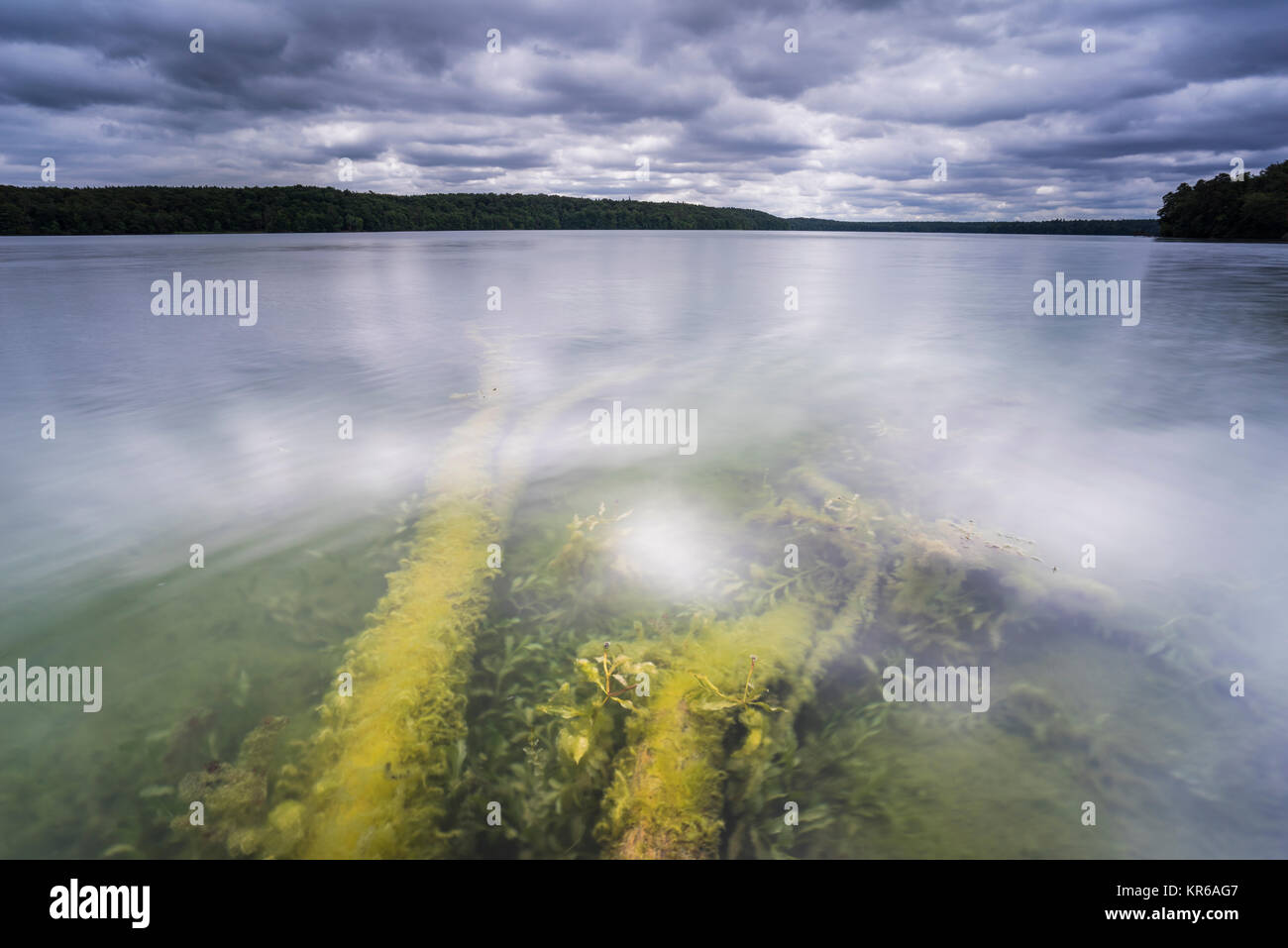 Reflet de beaux,nuages sombres dans un lac avec des arbres tombés sur la rive Banque D'Images