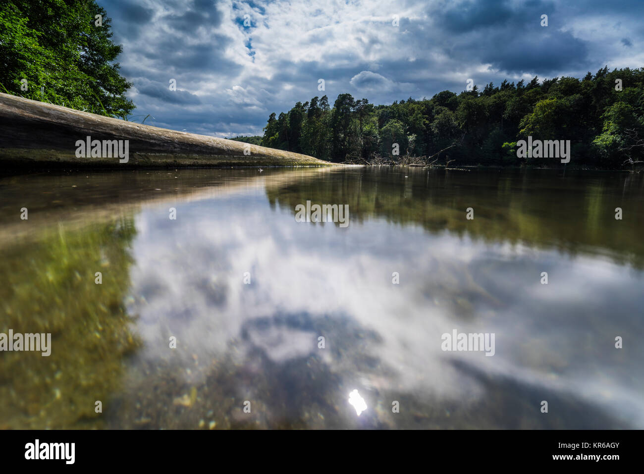 Umgestürzte Bäume im Wasser am Regenwolken,voir, Spiegelung der dunklen Wolken im Wasser, Klares Wasser im Sommer und Algen unter Wasser, Ins Wasser rankende Bäume und deren Spiegelung Banque D'Images