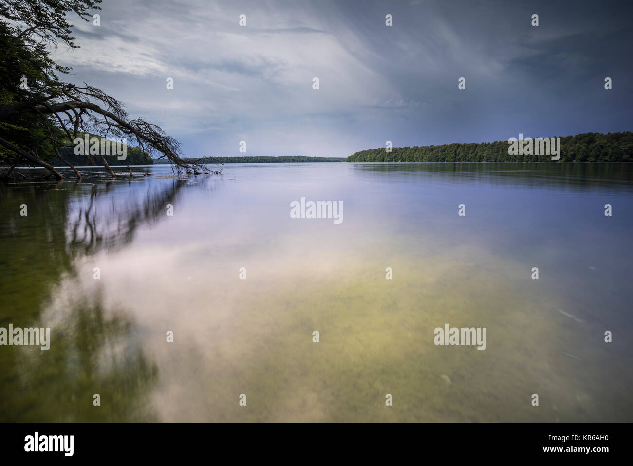 Umgestürzte Bäume im Wasser am Regenwolken,voir, Spiegelung der dunklen Wolken im Wasser, Klares Wasser im Sommer und Algen unter Wasser, Ins Wasser rankende Bäume und deren Spiegelung Banque D'Images