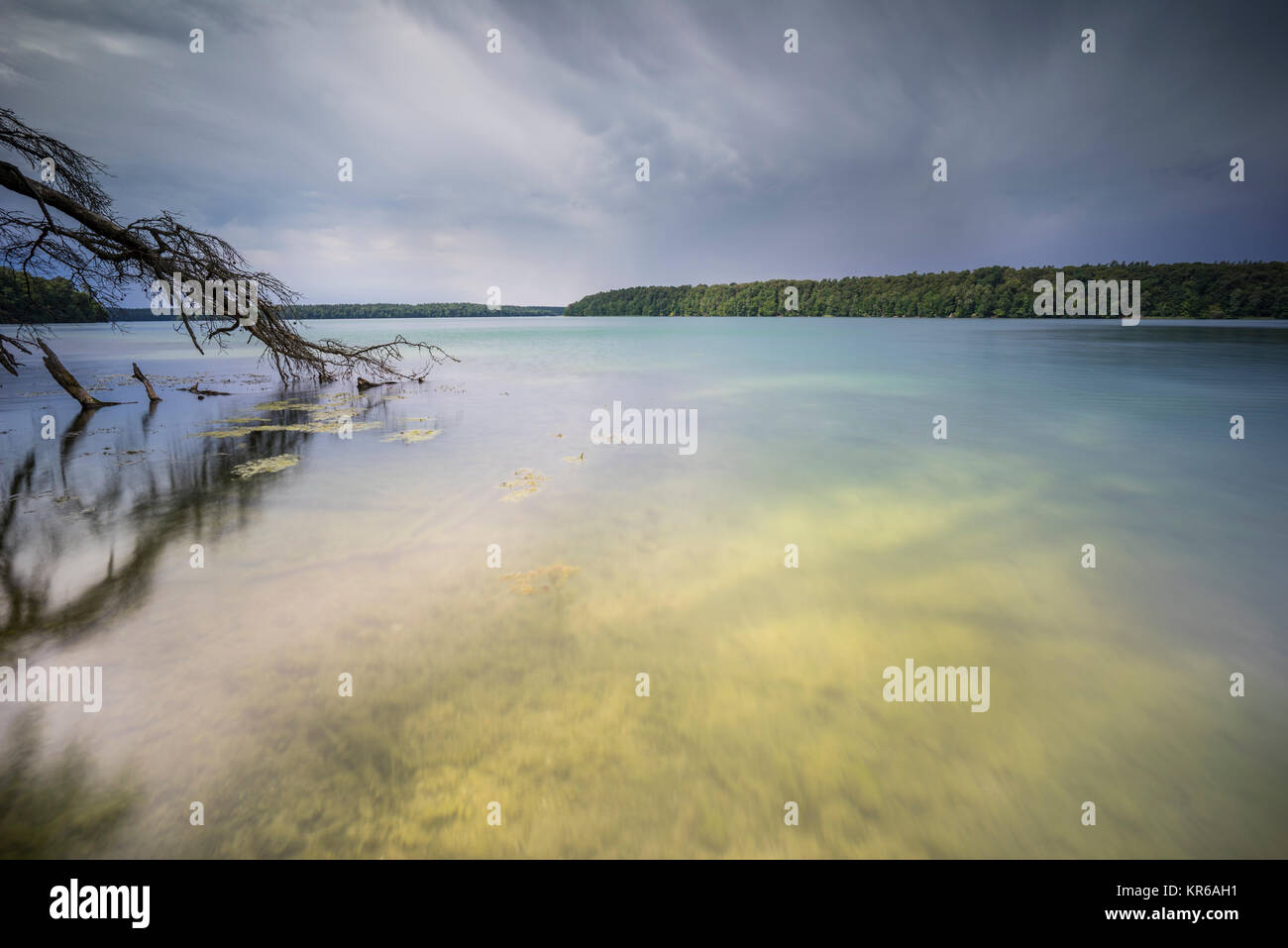 Umgestürzte Bäume im Wasser am Regenwolken,voir, Spiegelung der dunklen Wolken im Wasser, Klares Wasser im Sommer und Algen unter Wasser, Ins Wasser rankende Bäume und deren Spiegelung Banque D'Images
