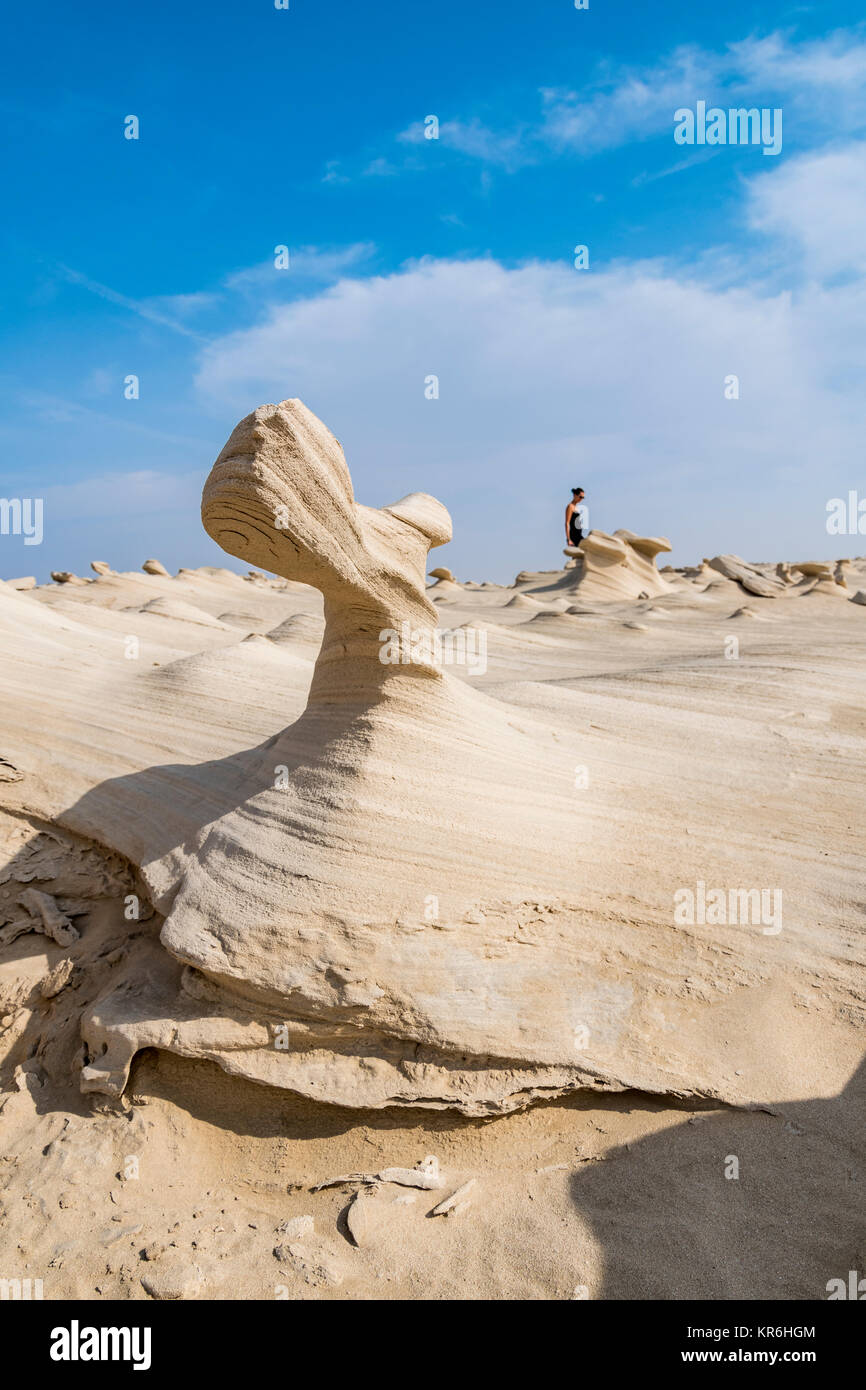 dunes fossiles dans le désert Banque D'Images
