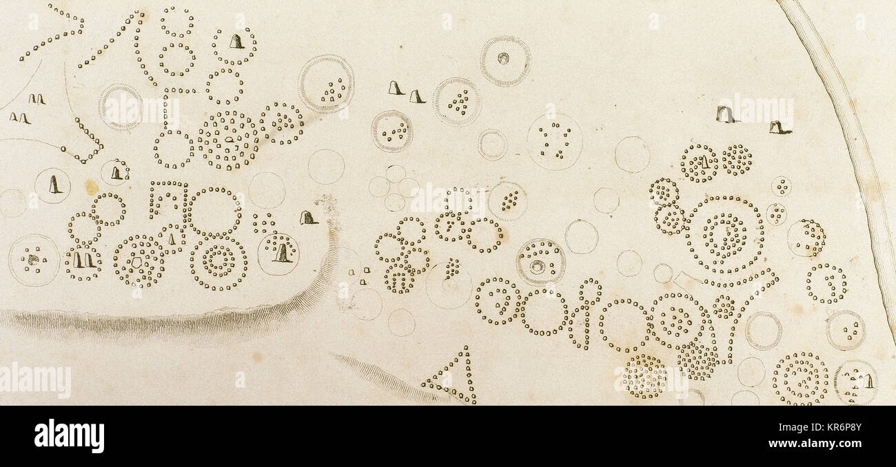 La bataille d'Bravellir Bravalla ou. 8e siècle. Bataille légendaire qui a lieu entre Sigurd Hring, roi de Suède et le Geats de Vastergotland, et son oncle Harald Wartooth, roi du Danemark et de l'océan de Geats. Les pierres tombales sur le champ de bataille. La gravure. Ca. 1850. Banque D'Images