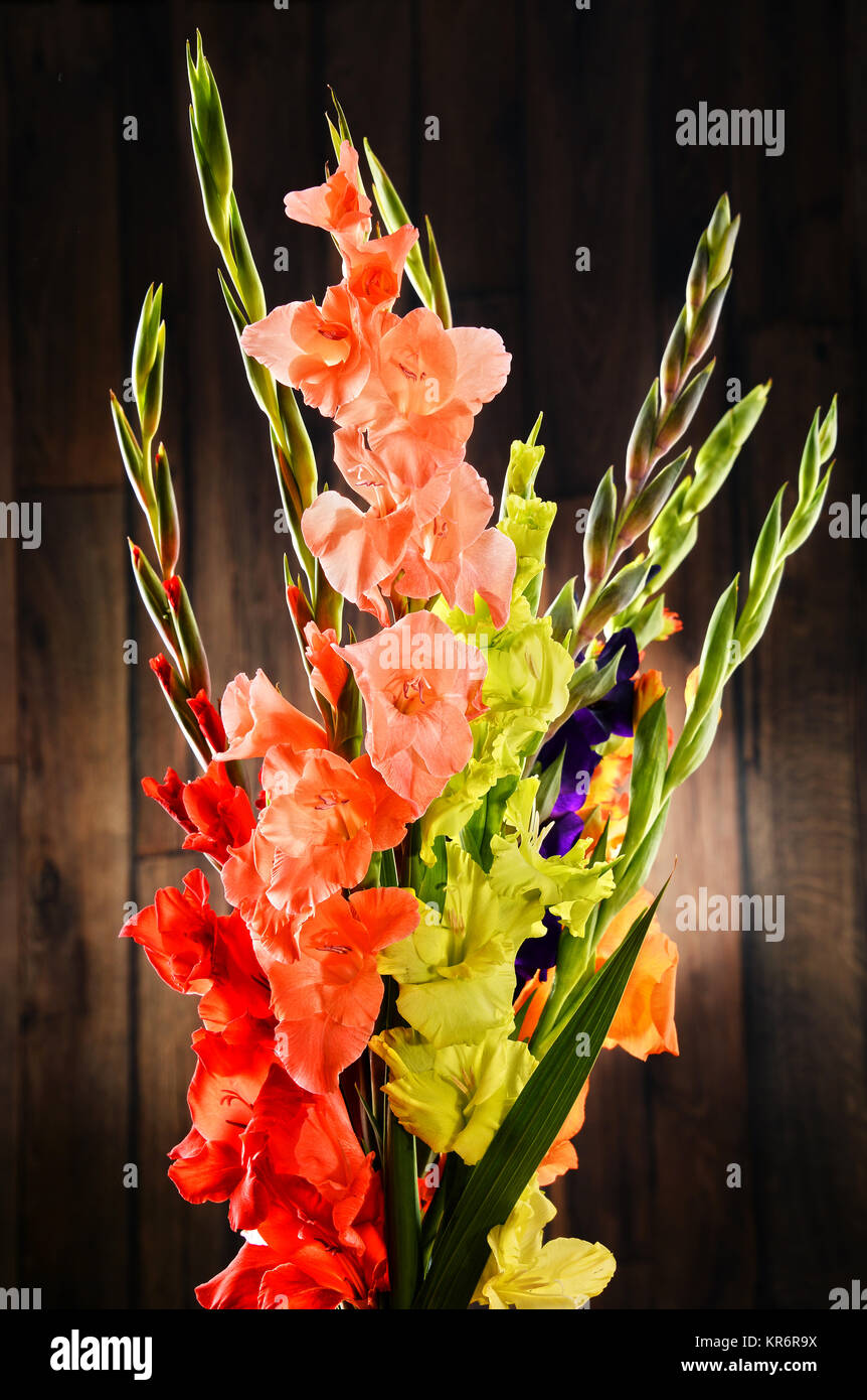 La composition avec bouquet de fleurs glaieul Banque D'Images