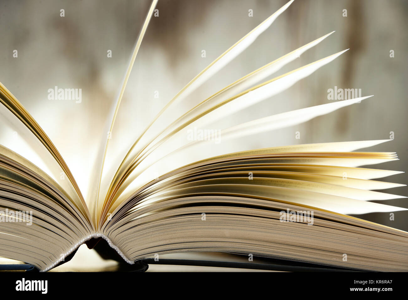 La composition avec livre relié sur la table Banque D'Images