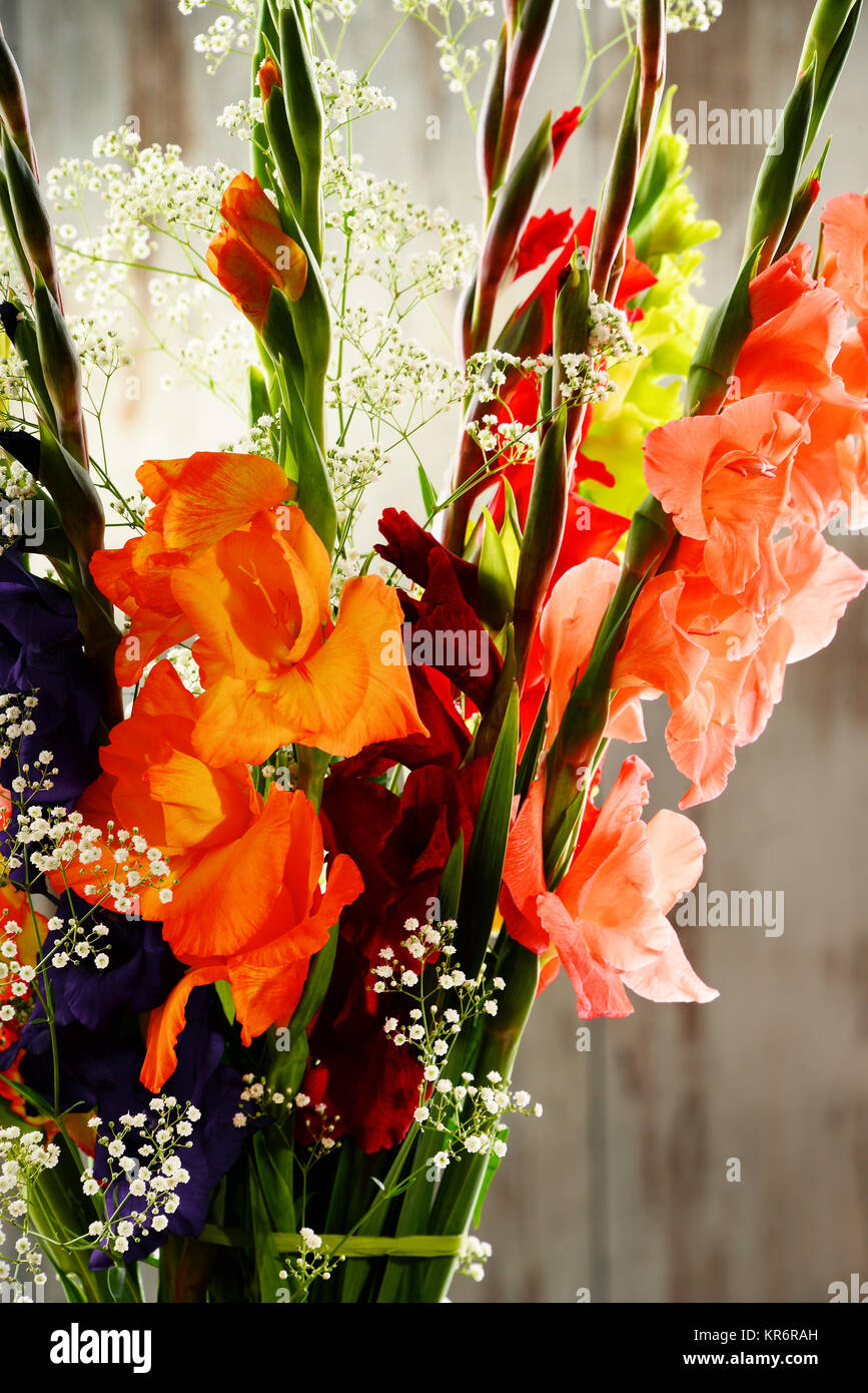 La composition avec bouquet de fleurs glaieul Banque D'Images